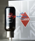 AMP WE845 Stereo Vacuum Tubes PSVANE COSSOR 845 Vacuum Tubes Hifi Audio DIY Tube